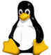 
    Perl, PHP, MySql,
    SSL, SSI, CGI-BIN,
    .htaccess, Webstat,
    Plesk Control Panel
    plus standard features
    